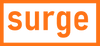 Club Surge Purses