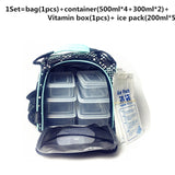 2019 Waterproof Picnic lunch ice gym food bag insulated Portable Thermal Cooler fitness Professional Bag Control Containers